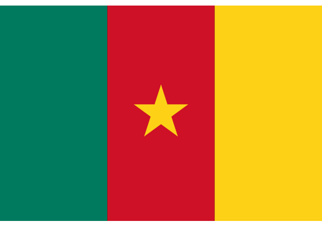 Камерун - флаг страны