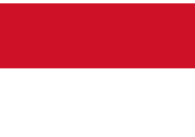 Индонезия - флаг страны