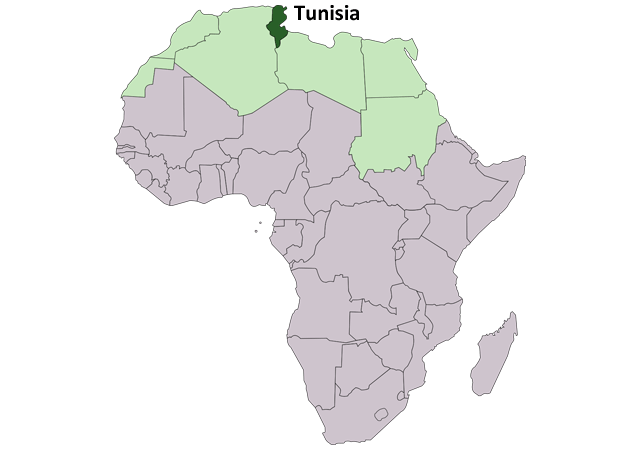 Тунис - расположение на карте