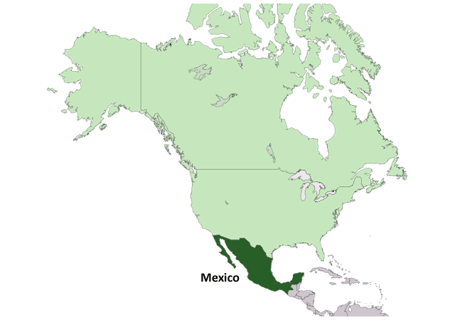 Мексика - расположение на карте